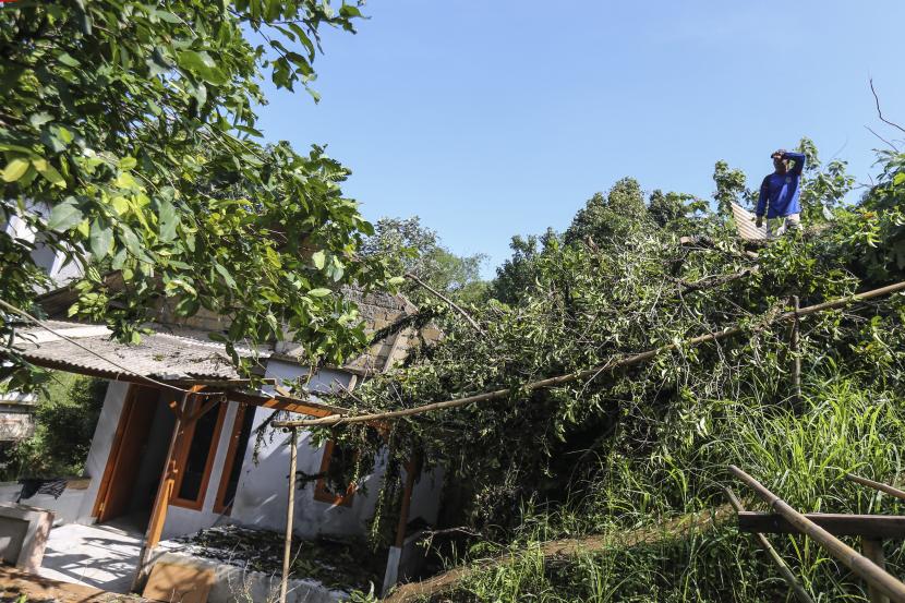 Rumah Warga Di Bogor Tertimpa Pohon Akibat Angin Kencang Purnawarta