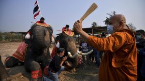 Hari Gajah Nasional di Thailand