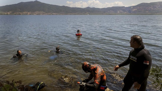 Kuda Laut Yunani Meringkik Nyaris Punah Karena Polusi