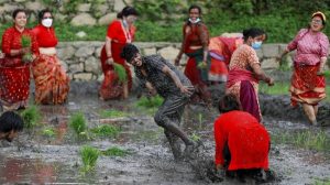 Perayaan Hari Padi Nasional Nepal