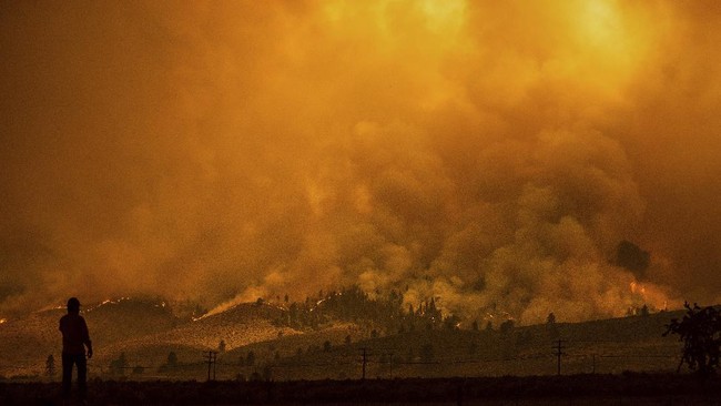 Akibat Gelombang Panas Picu Kebakaran Hutan di California