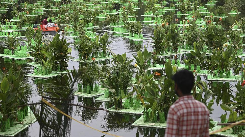 Pulihkan Danau Melalui Trik Lahan Terapung di India