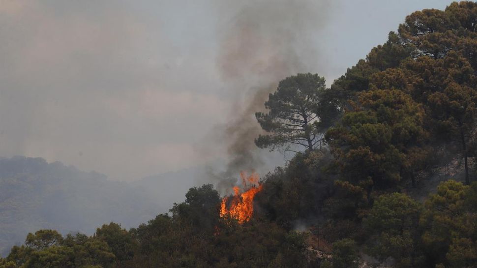 Kebakaran Hutan Spanyol