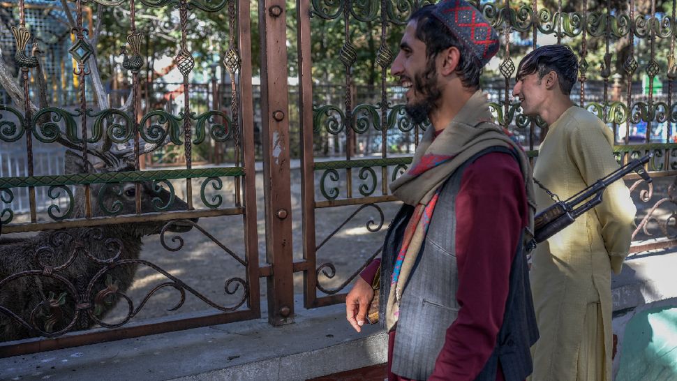 Kebun Binatang Kabul Dikunjungi Tentara Taliban