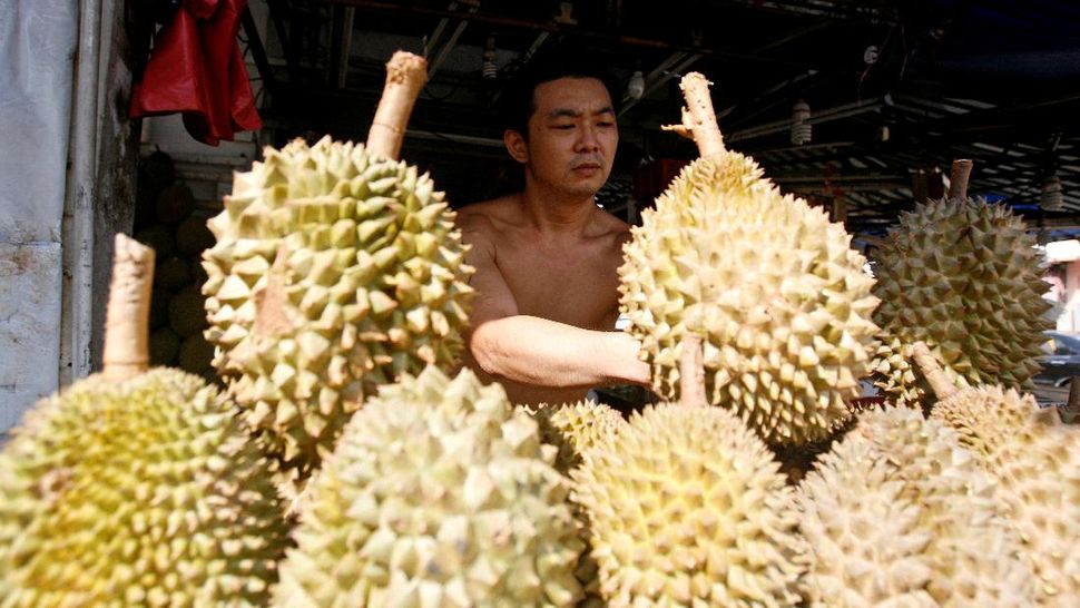 Cangkang Durian Disulap Jadi Perban Antibakteri