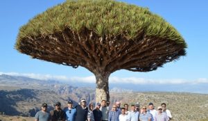 UEA Kibarkan Bendera Israel di Socotra