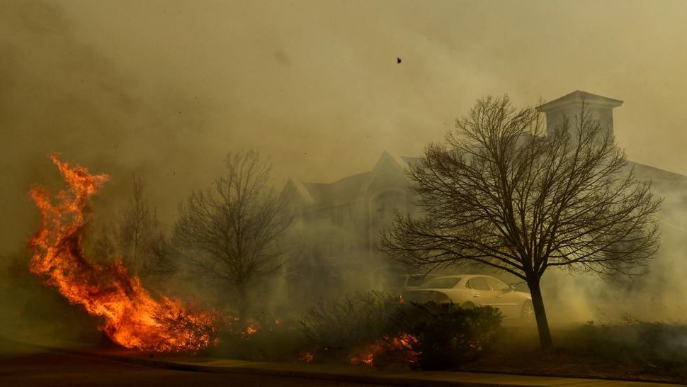 Sebanyak 1.000 Rumah Hancur Akibat Kebakaran Hutan di Colorado AS