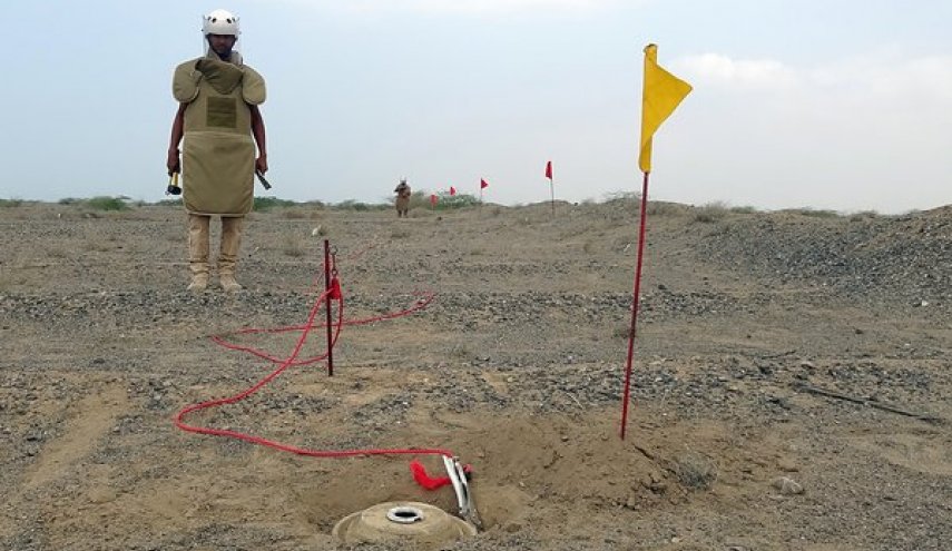 Ribuan Korban Sipil Akibat Bom Cluster Koalisi Saudi