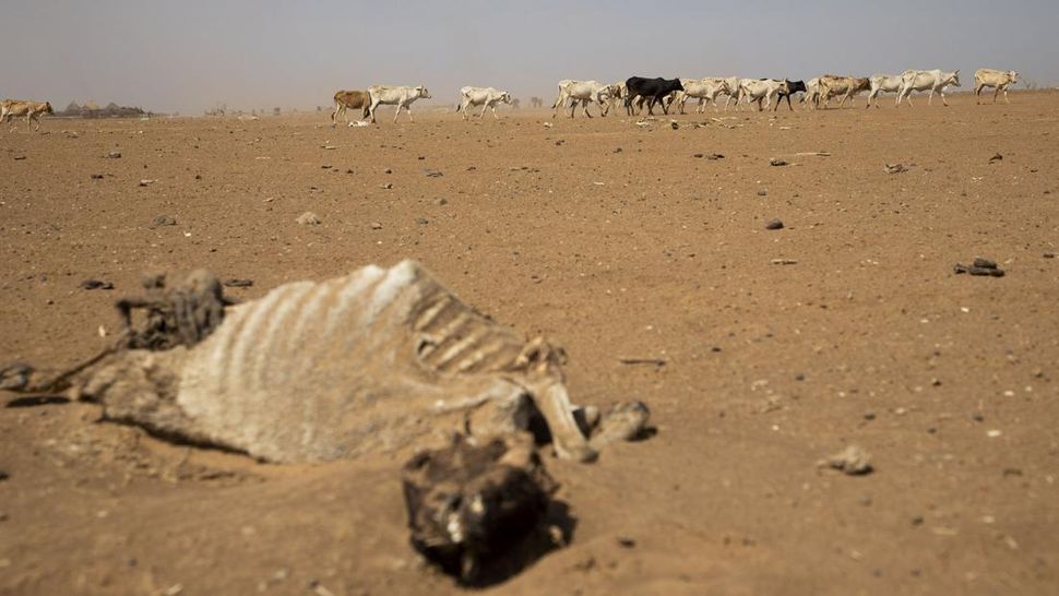 Penduduk Ethiopia Hadapi Kekeringan Terburuk