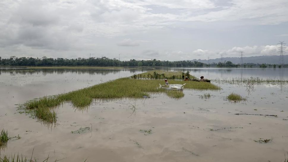 Banjir Genangi Banyumas usai Hujan dan Pasang