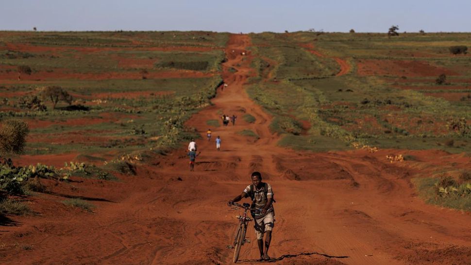 Madagaskar Dilanda Kekeringan, Warga Makan Kaktus Liar untuk Bertahan