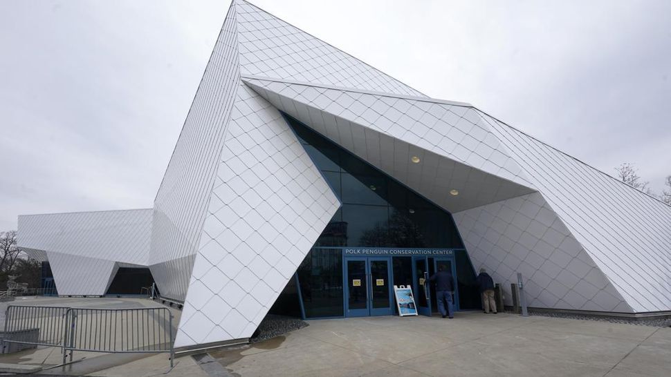 Mengunjungi Pusat Konservasi Penguin Terbesar di Dunia