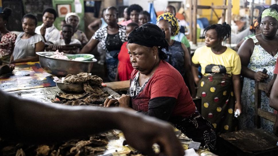 Pelarangan Membunuh Tenggiling di Liberia