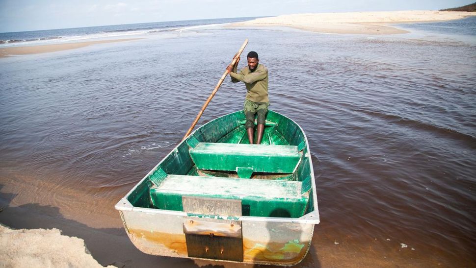 Penyelamatan Penyu dari Pembangunan Pelabuhan di Kongo