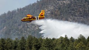 Kebakaran Hutan New Mexico Dikhawatirkan Berlipat Ganda