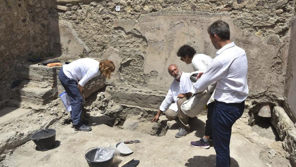 Fosil Kura-kura 2.000 Tahun Ditemukan di Pompeii