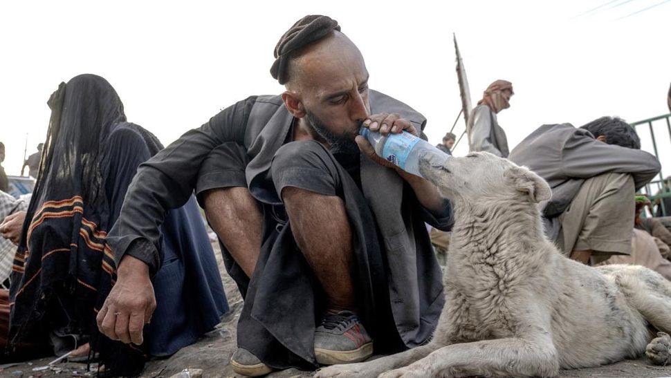 Tingginya Kecanduan Narkoba di Afghanistan Akibat Kemiskinan 