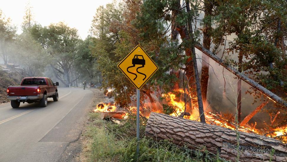 Hutan di California Dilalap Jago Merah Akibat Gelombang Panas