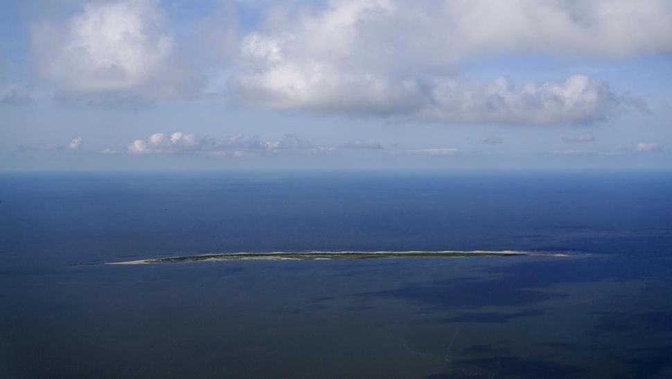 Habitat Pelikan Coklat di Pulau Rakun Terancam Sebab Perubahan Iklim