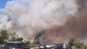 Kebakaran Hutan Kembali Terjadi Di Perancis Selatan