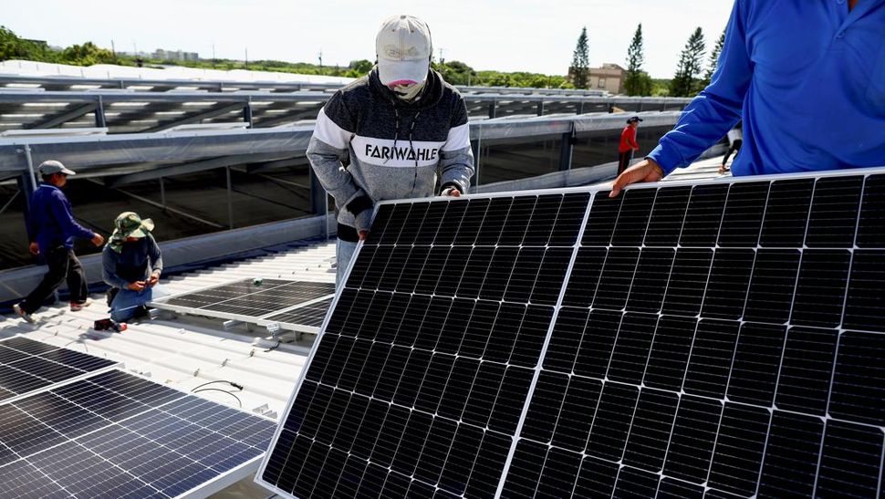 Pertanian Vanila dengan Panel Surya di Taiwan