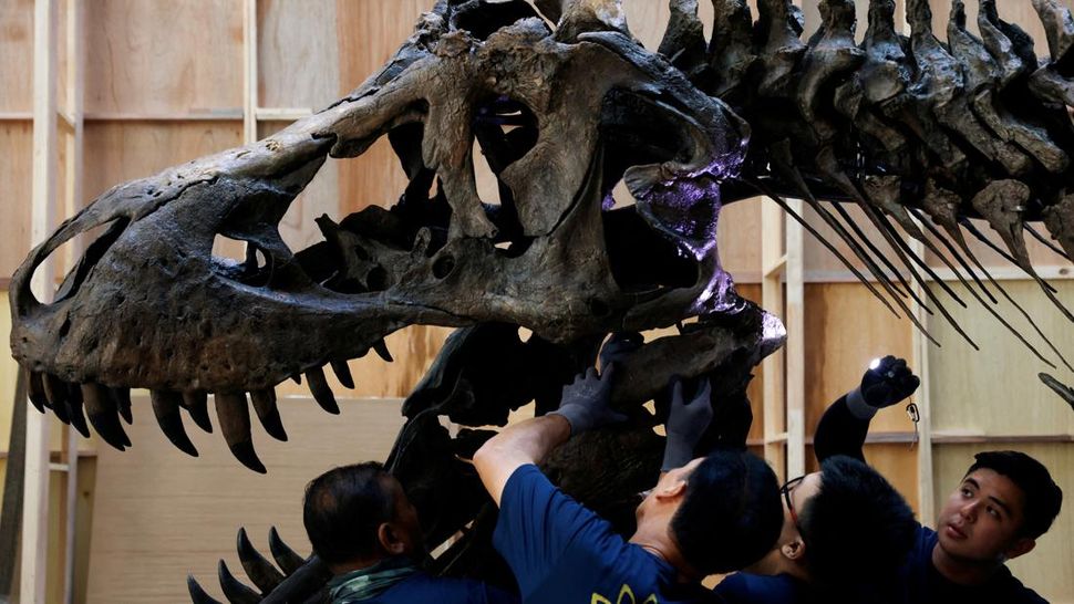 Fosil T-Rex Mampir di Singapura