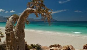 Peringatan tentang Penghapusan Pulau Socotra dari Daftar Warisan Dunia