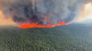 Makin Tak Terkendali, Kanada Laporkan 10 Kebakaran Hutan Baru