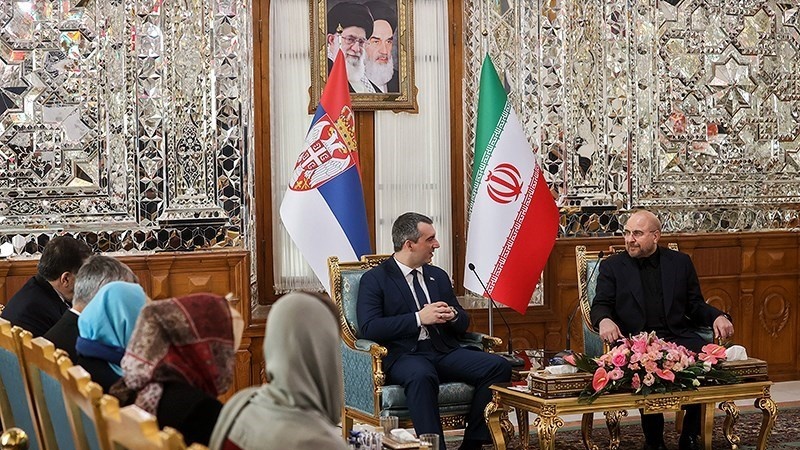 Pertemuan Ketua Parlemen Iran dan Serbia