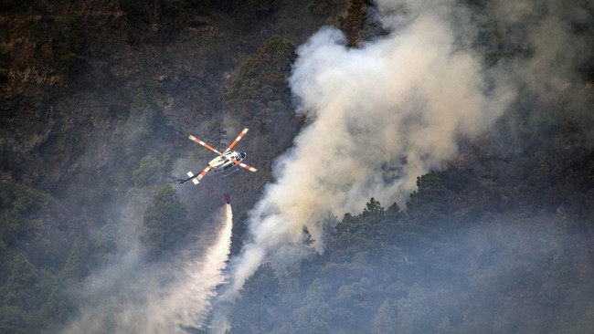 Kebakaran Hutan 'Hanguskan' Pulau Tanarife Spanyol