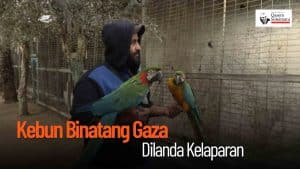 [VIDEO] - Kebun Binatang Gaza Dilanda Kelaparan