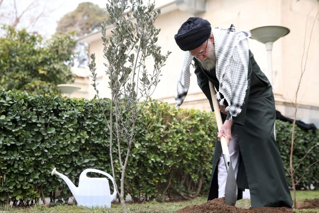 Ayatullah Khamenei Tanam Pohon Zaitun untuk Hormati Perlawanan Palestina