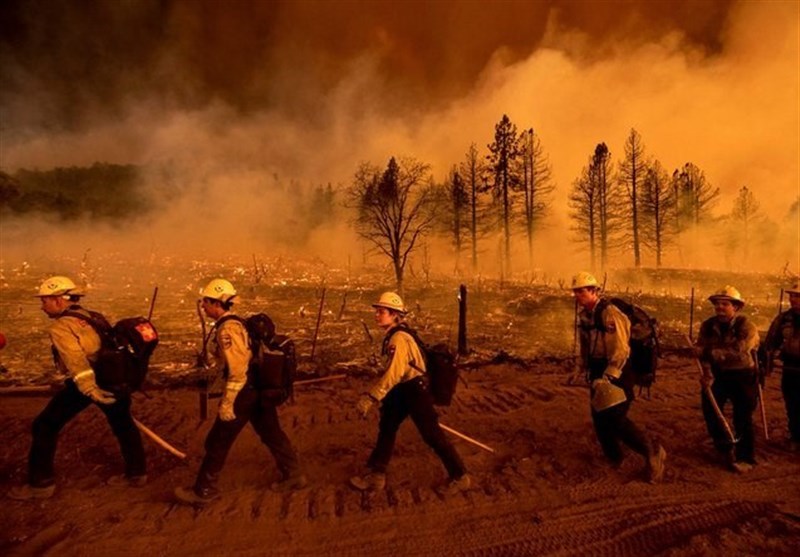 kebakaran hutan di california