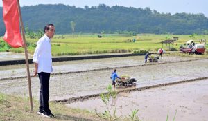 Presiden Jokowi