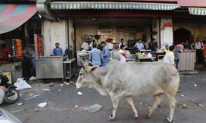 Dituduh Selundupkan Daging Sapi, 4 Muslim India Jadi Korban Pengeroyokan Kelompok Ekstremis Hindutva