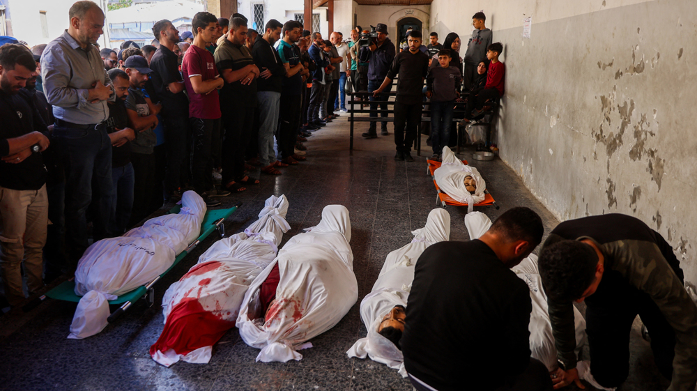 Gaza x