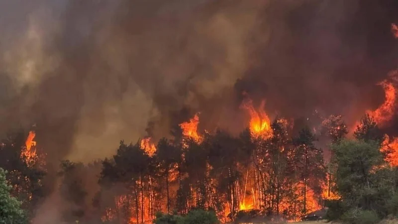 Israel fire