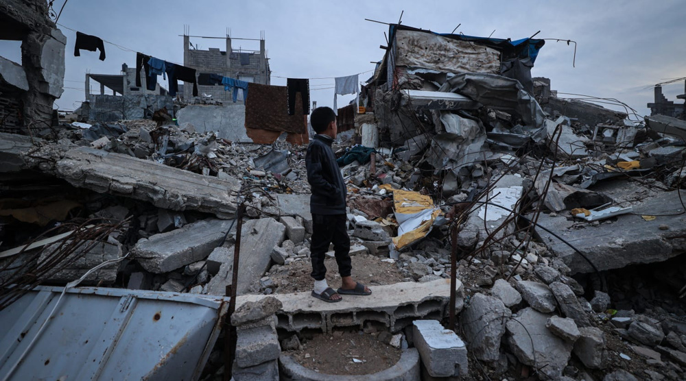 Hamas Palestinian
