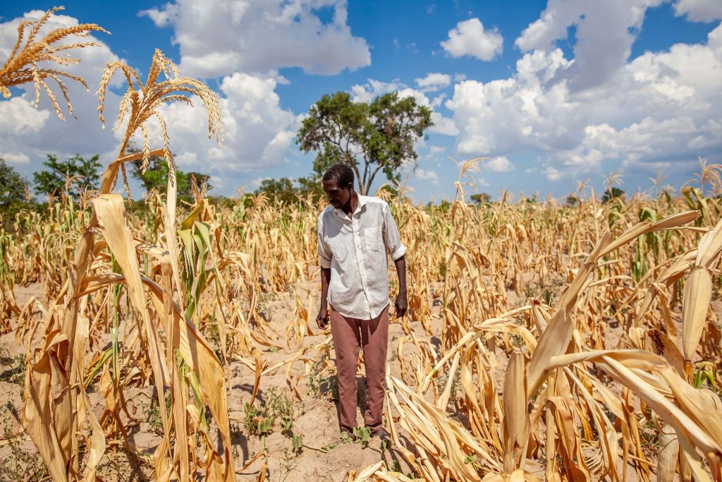 krisis minim perhatian