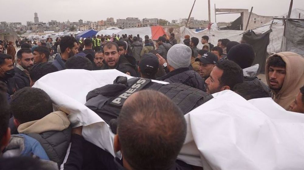 POlis Survivor
