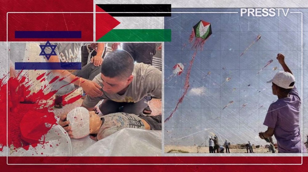 Gaza analisa
