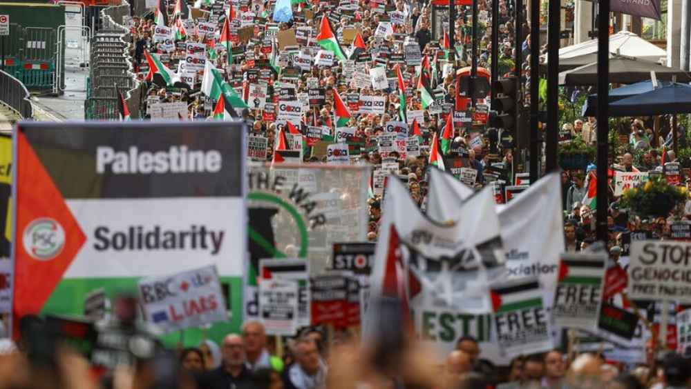 Pro Palestina