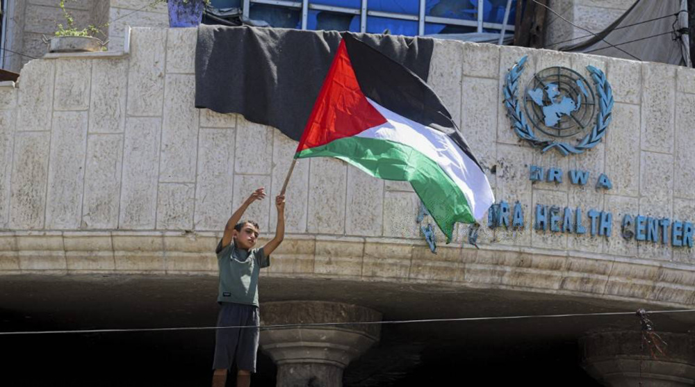 Hamas zz